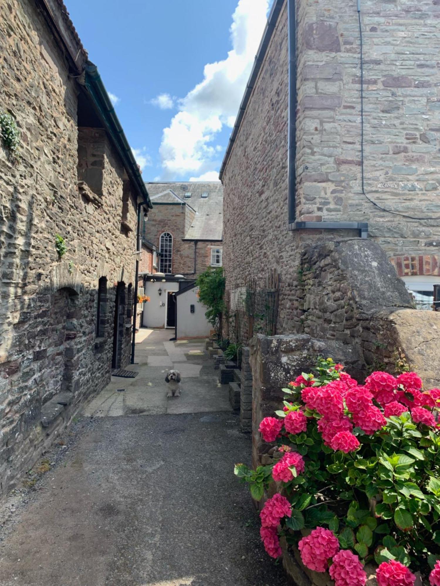 The Beacons Guest House 브레컨 외부 사진